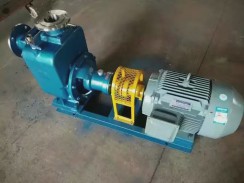 不鏽(xiù)鋼自吸(xi)泵