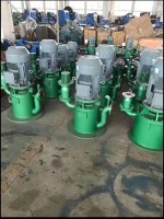 WFB自控自(zi)吸泵