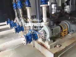 化工泵(bèng)使用現場